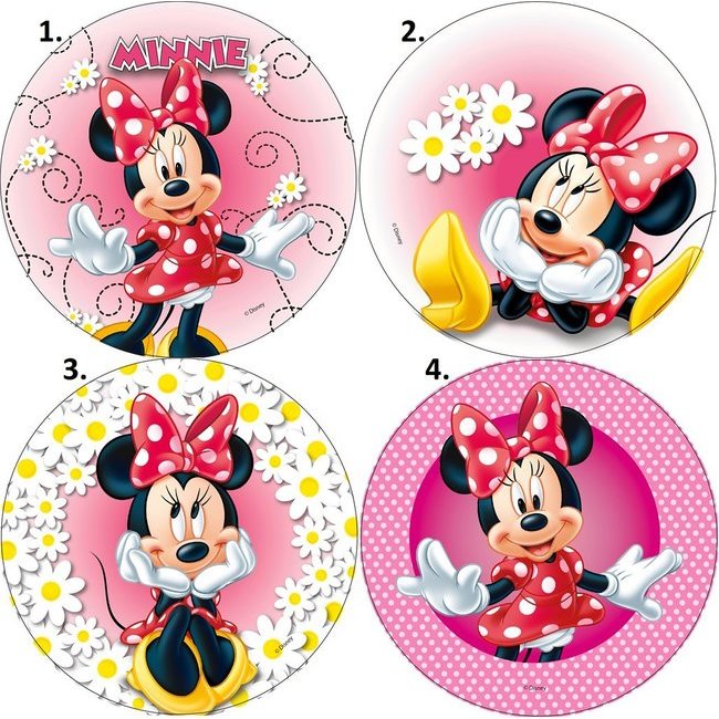 Disque azyme Minnie 21cm DLUO DEPASSEE